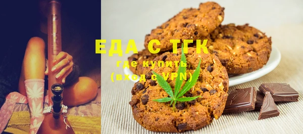 индика Осинники