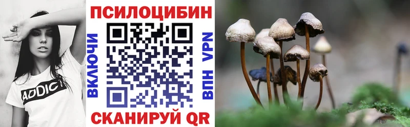 Псилоцибиновые грибы GOLDEN TEACHER  Семилуки 